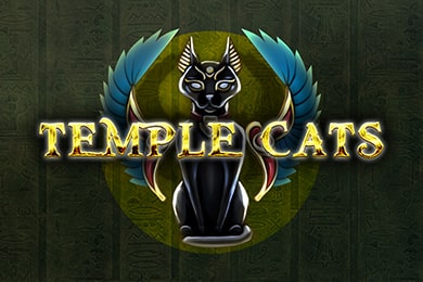 Играть в Templecats Бонус Казино